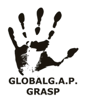 GLOBALG.A.P. GRASP certification logo — social practice risk assessment for agricultural supply chains