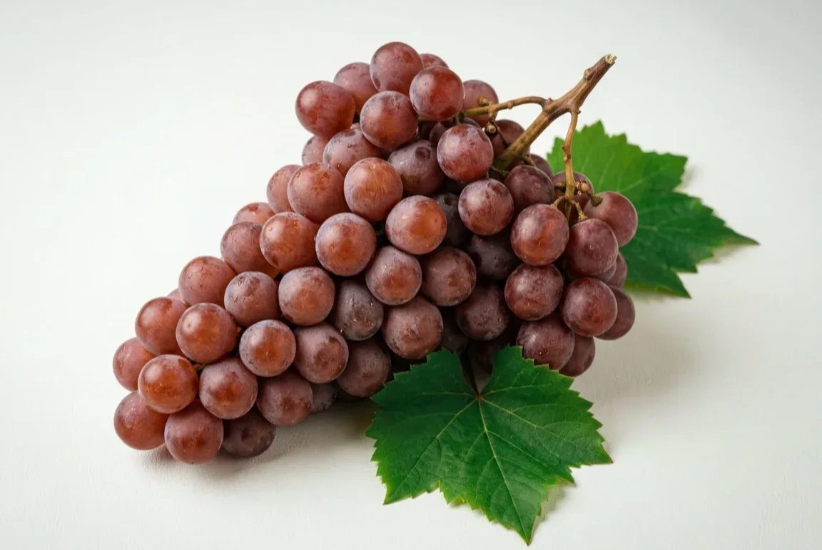 Export-grade Flame Grapes from Egypt