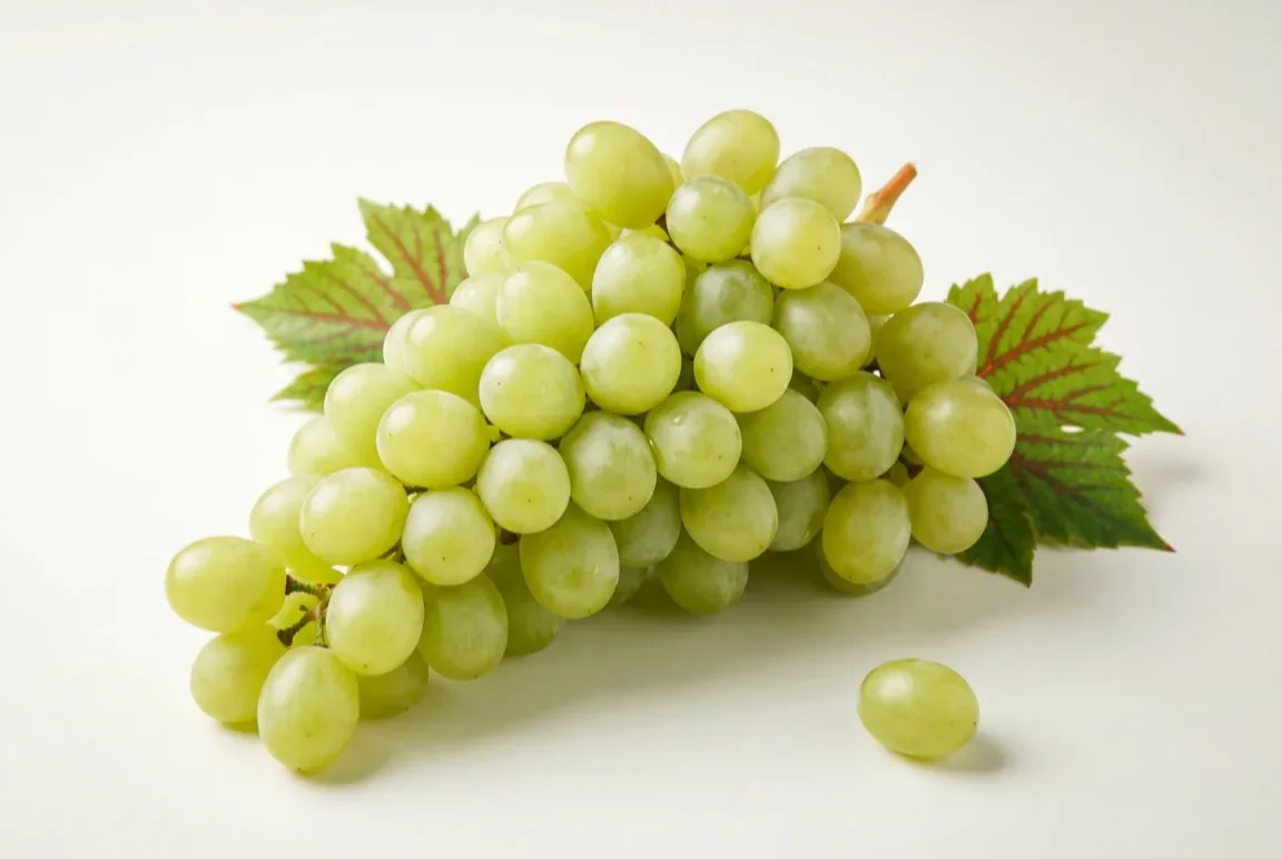 Export-grade Superior Üzüm from Egypt